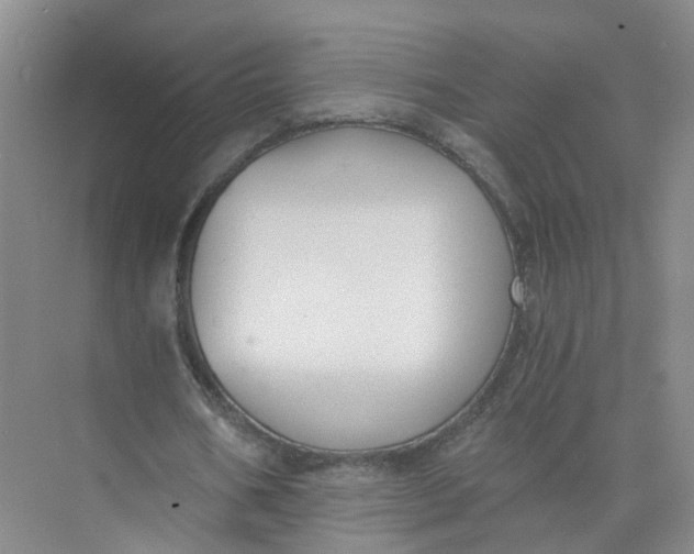 X0000073860578200608312029