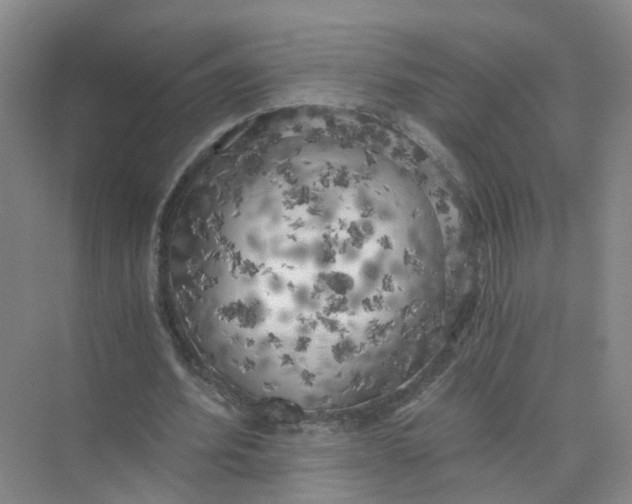 X0000073860580200608312029