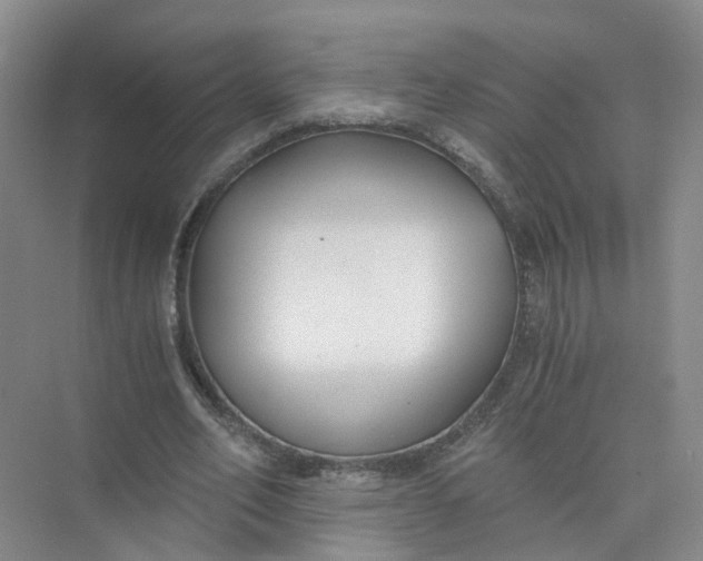 X0000073860582200608312029