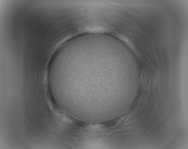 X0000073860583200608312029