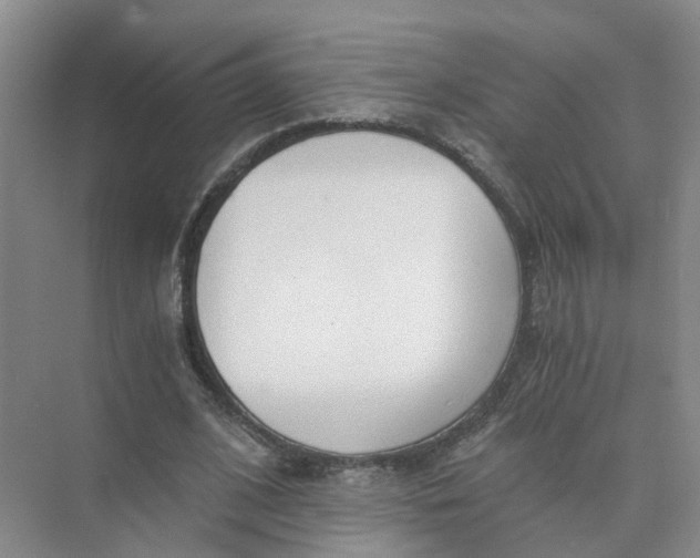 X0000073860584200608312029