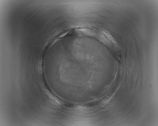 X0000073860585200608312029