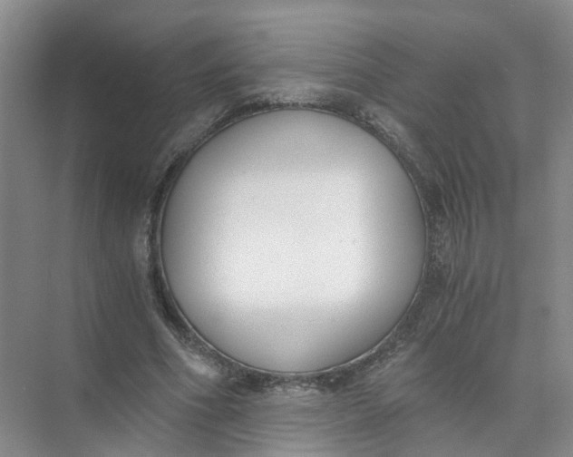 X0000073860586200608312029