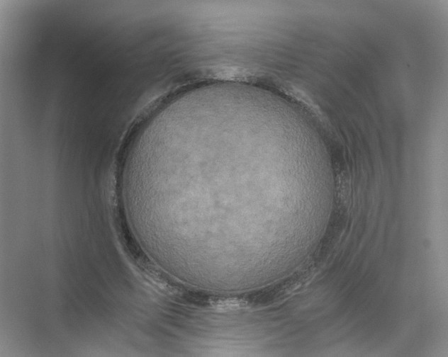 X0000073860587200608312029