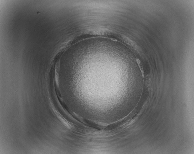 X0000073860589200608312029