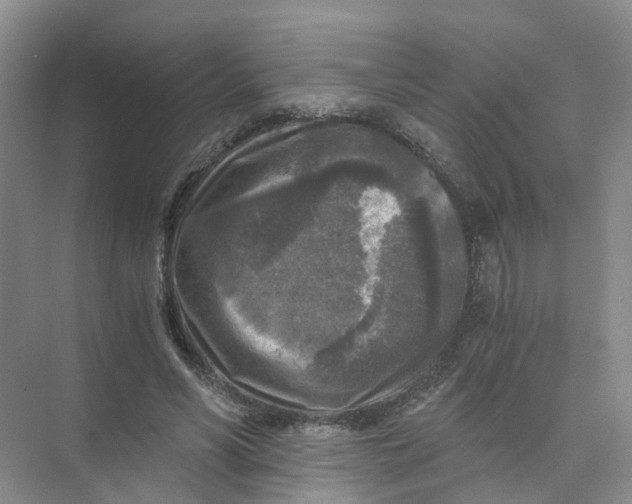 X0000073860590200608312029