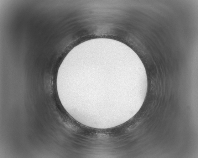 X0000073860592200608312029