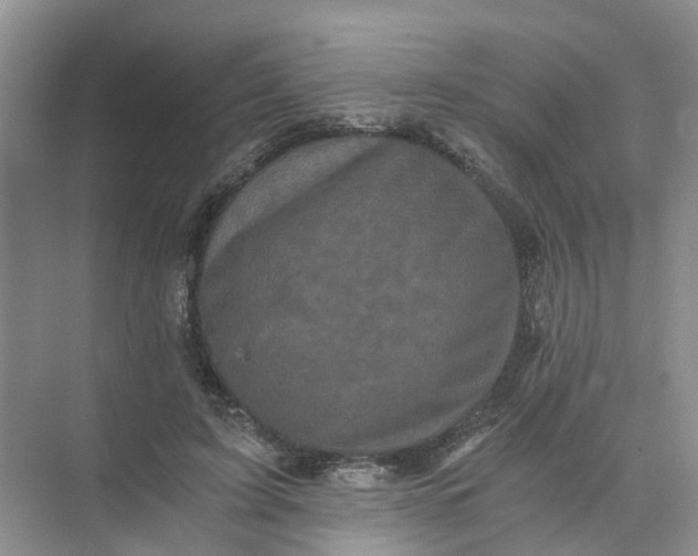 X0000073860595200608312029