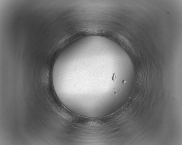 X0000073860596200608312029