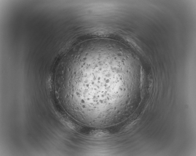 X0000073860597200608312028