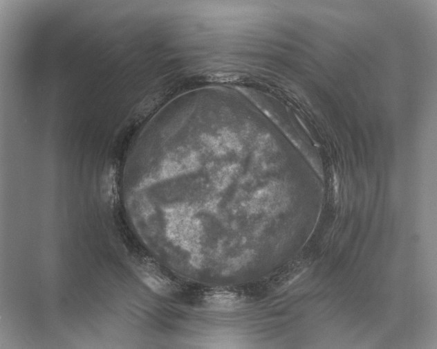 X0000073860598200608312028