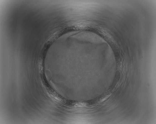 X0000073860599200608312028