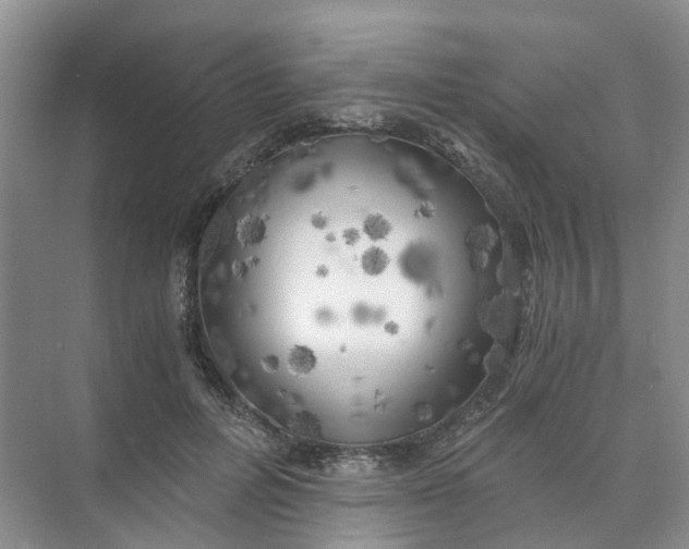 X0000073860600200608312028