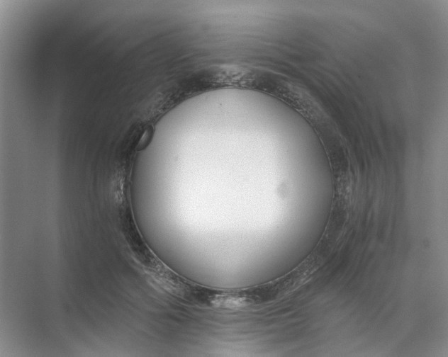 X0000073860602200608312028