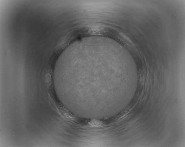 X0000073860603200608312028