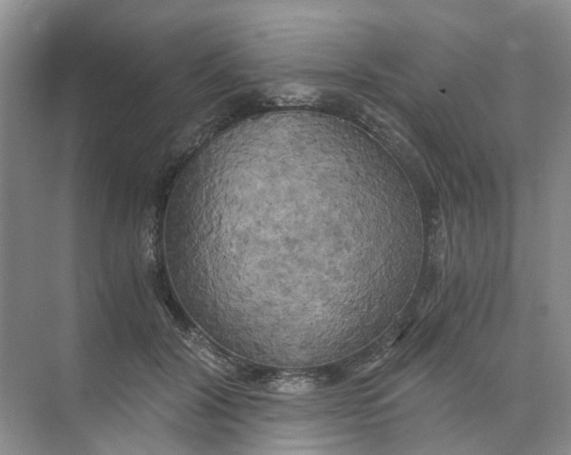 X0000073860604200608312028