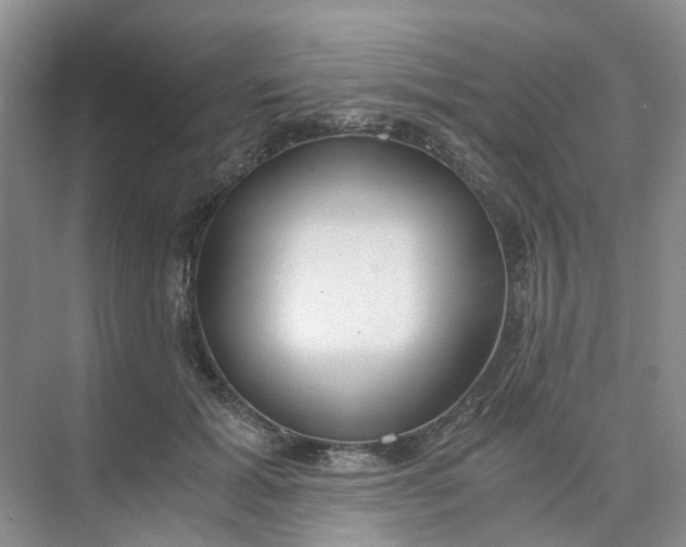 X0000073860605200608312028