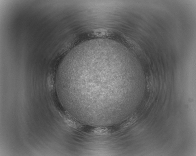 X0000073860606200608312028