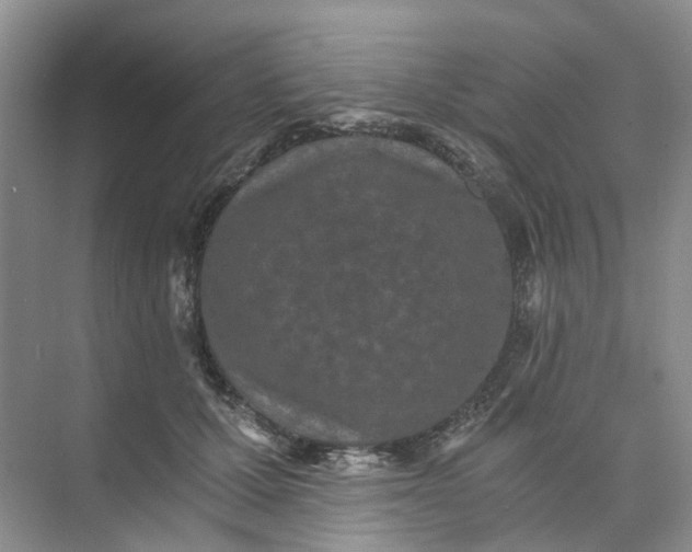 X0000073860607200608312028