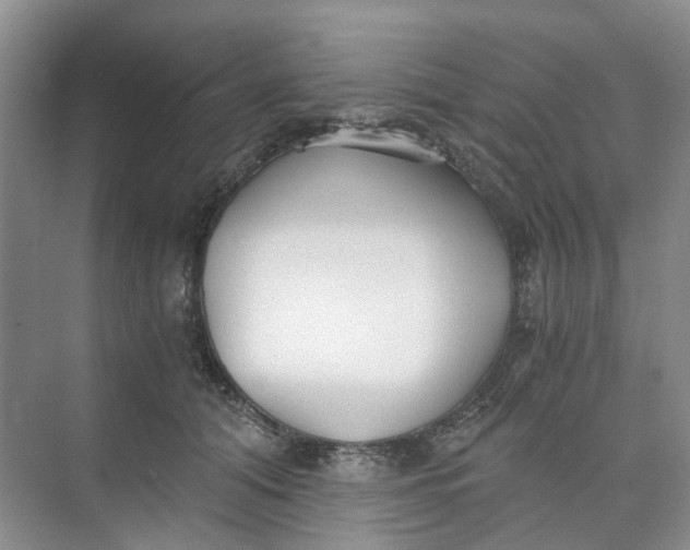 X0000073860608200608312028