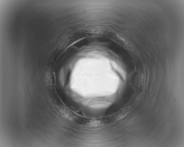 X0000073860609200608312028