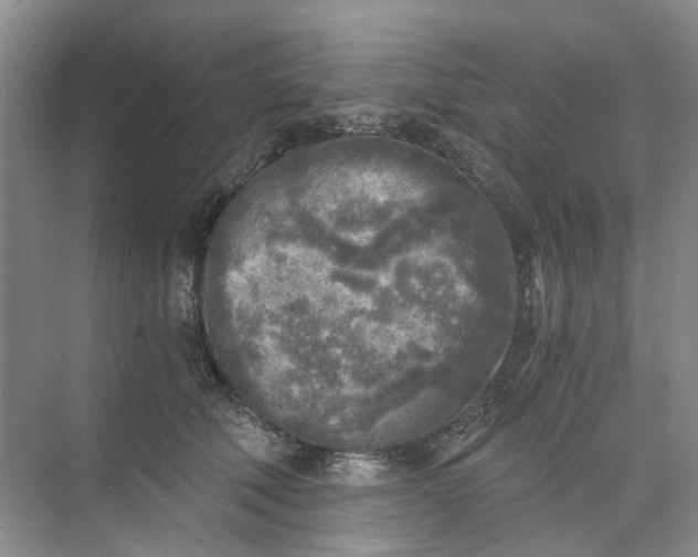 X0000073860610200608312028