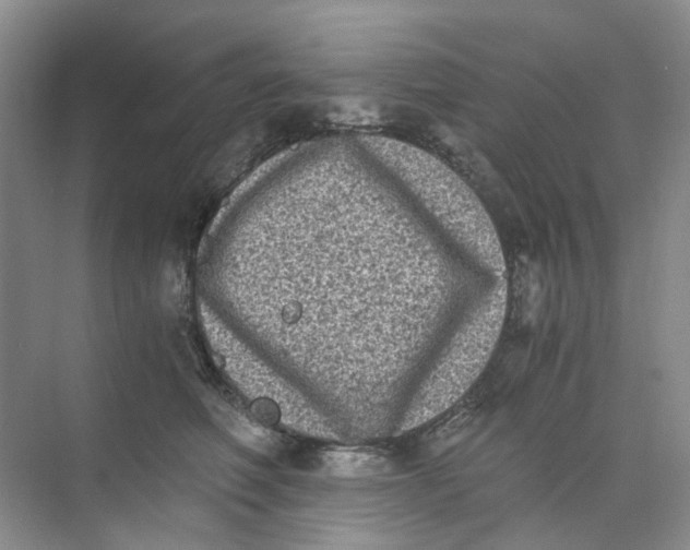 X0000073860614200608312028