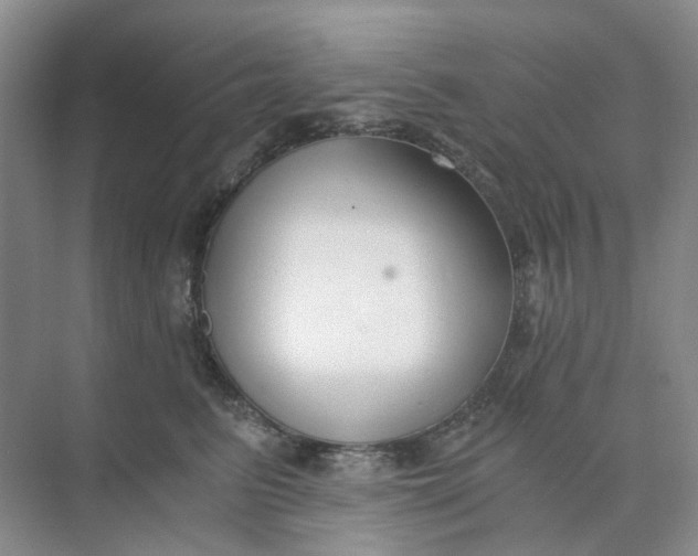 X0000073860615200608312028