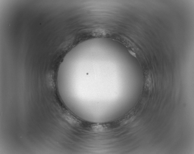 X0000073860616200608312028