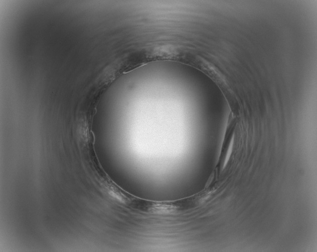 X0000073860617200608312028