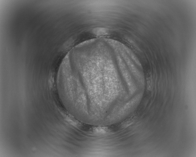 X0000073860618200608312028