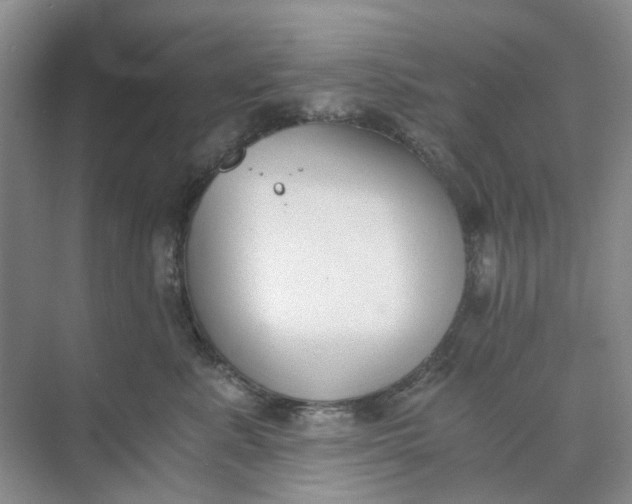 X0000073860619200608312028