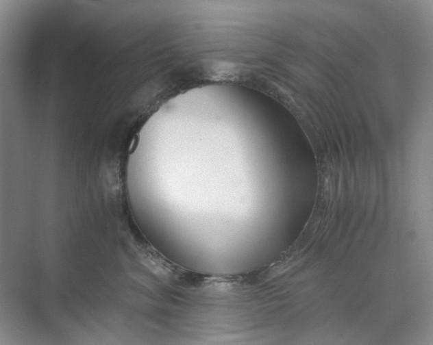 X0000073860620200608312028