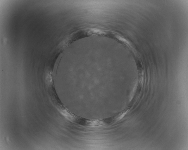 X0000073860621200608312028