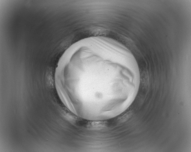 X0000073860622200608312028