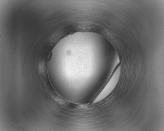 X0000073860623200608312028