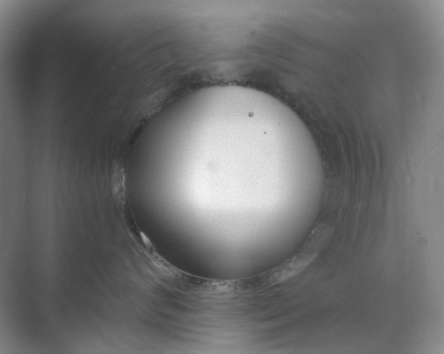 X0000073860624200608312028