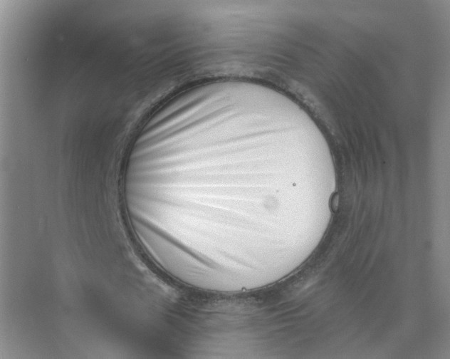 X0000073860625200608312027