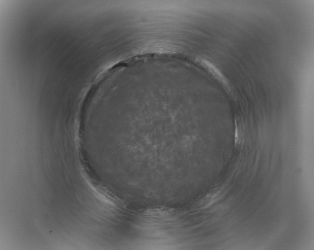 X0000073860627200608312027