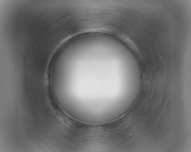 X0000073860628200608312027