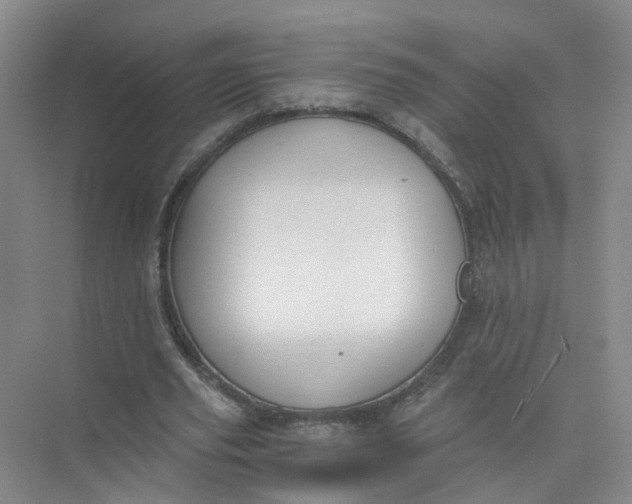 X0000073860629200608312027