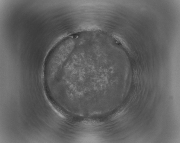 X0000073860630200608312027