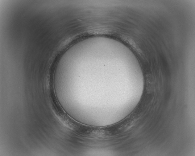 X0000073860631200608312027