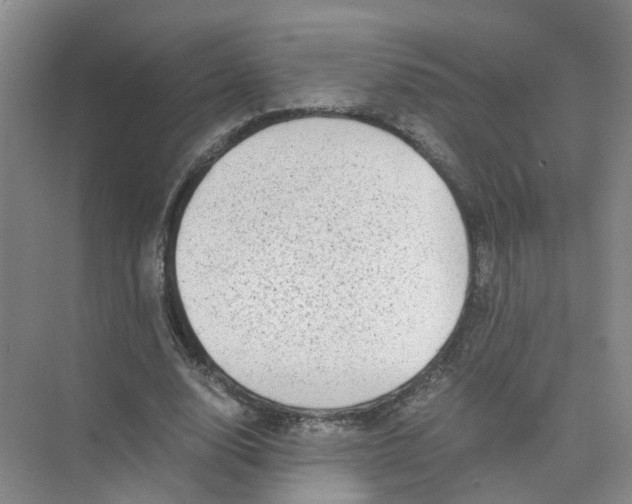 X0000073860632200608312027