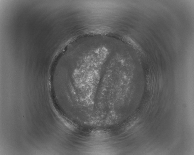 X0000073860634200608312027