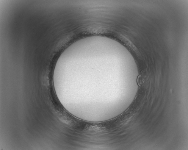 X0000073860635200608312027