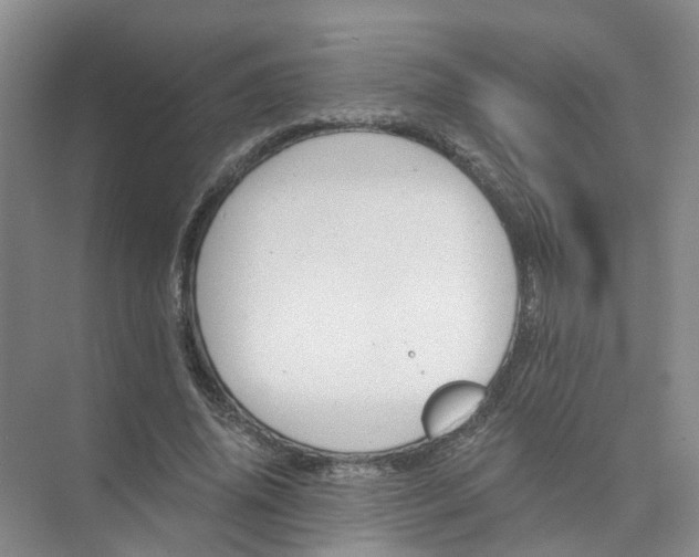 X0000073860636200608312027