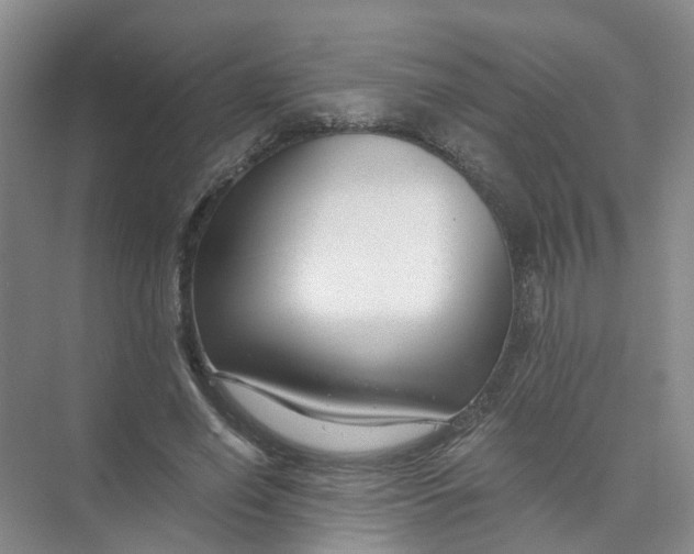 X0000073860638200608312027