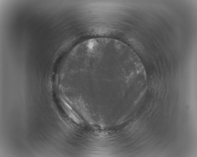 X0000073860640200608312027