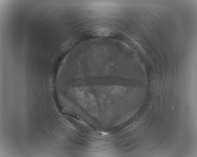 X0000073860641200608312027